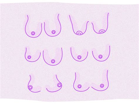 boobs|The 10 Types of Boobs — Heres What to Know, According to Ob。